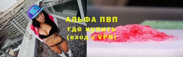 СК Вяземский