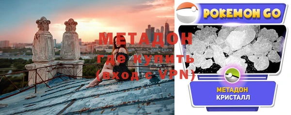 прущие грибы Гусиноозёрск