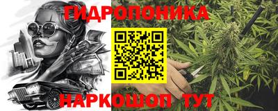 мяу мяу мука Гусь-Хрустальный