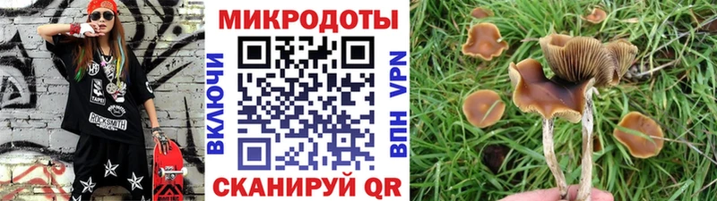 Псилоцибиновые грибы прущие грибы где найти наркотики Гулькевичи