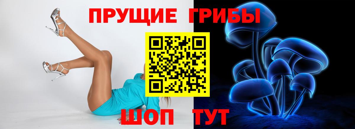 Псилоцибиновые грибы Psilocybine cubensis  Гулькевичи 